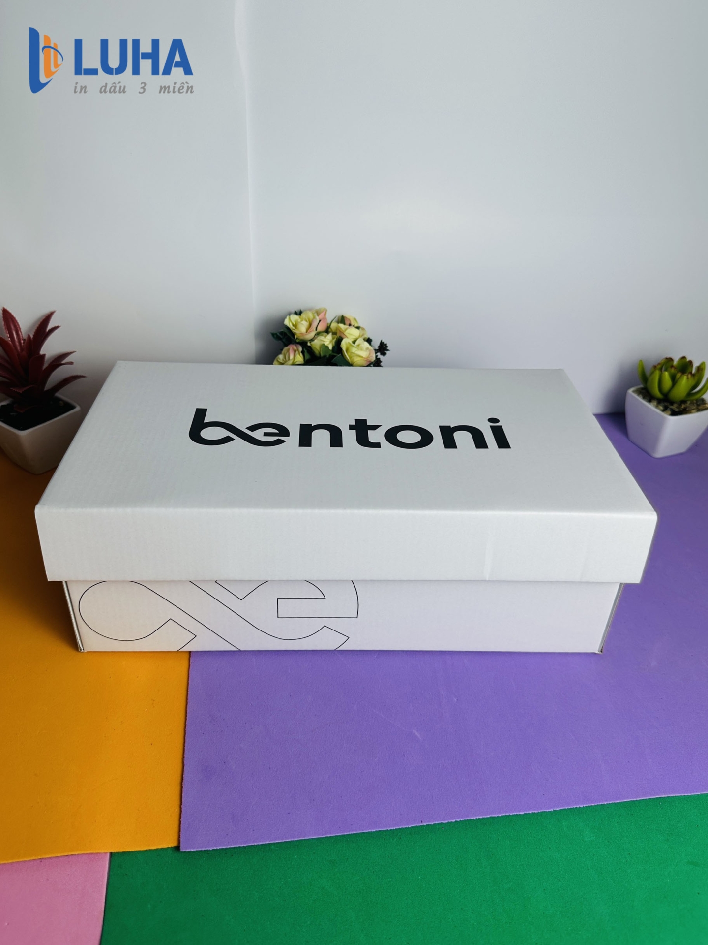 in hộp cứng