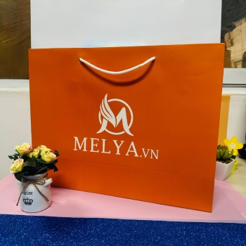 In túi giấy giá rẻ nhất Hà Nội - Thiết kế MIỄN PHÍ
