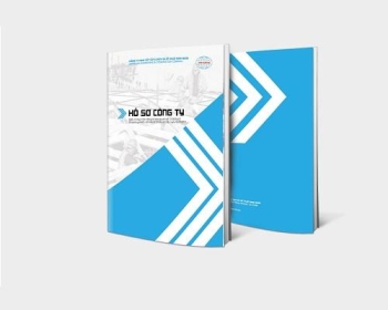 In profile, hồ sơ năng lực